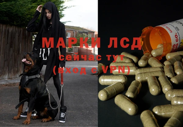 jwh Алексеевка