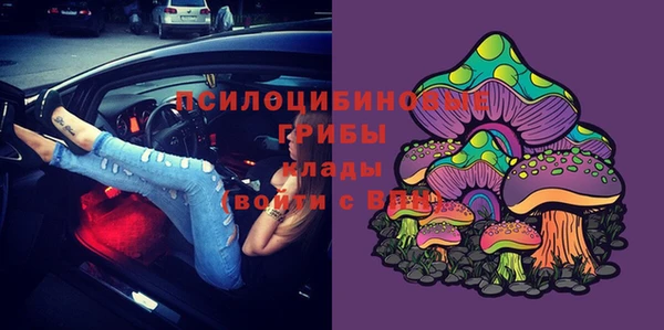 a pvp Няндома