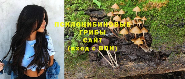 ГАЛЛЮЦИНОГЕННЫЕ ГРИБЫ Армянск