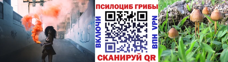 Галлюциногенные грибы Magic Shrooms  Старая Купавна 